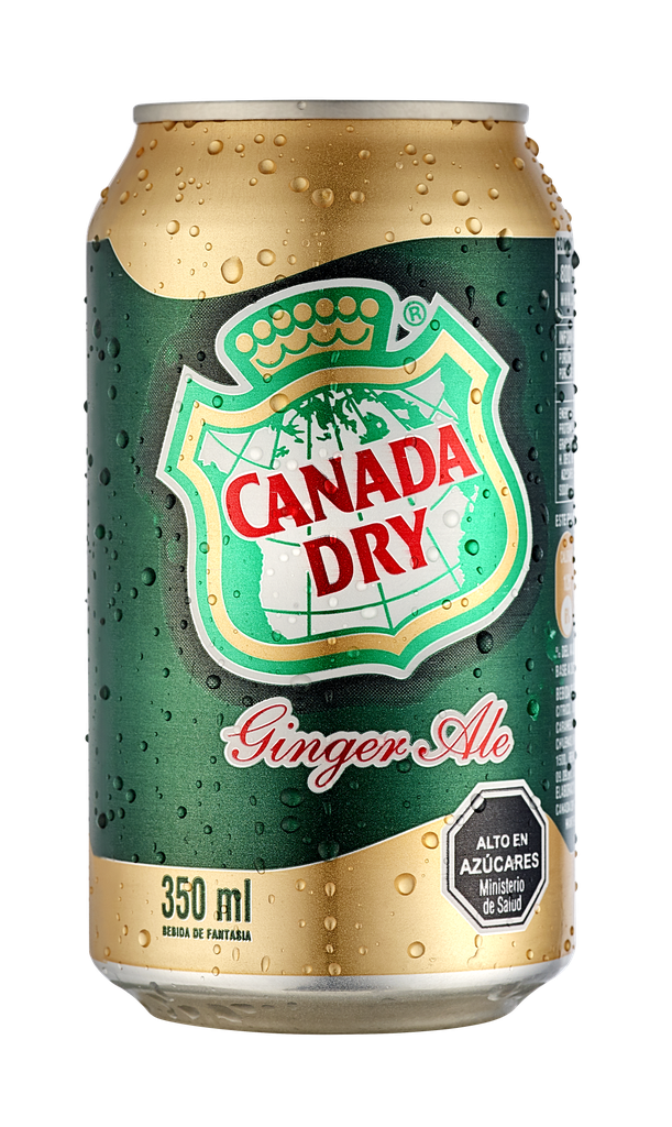 BEBIDA GASEOSA LATA CANADA DRY 350 CC