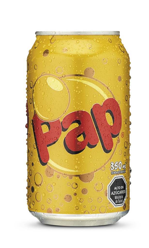 BEBIDA GASEOSA LATA PAP 350 CC