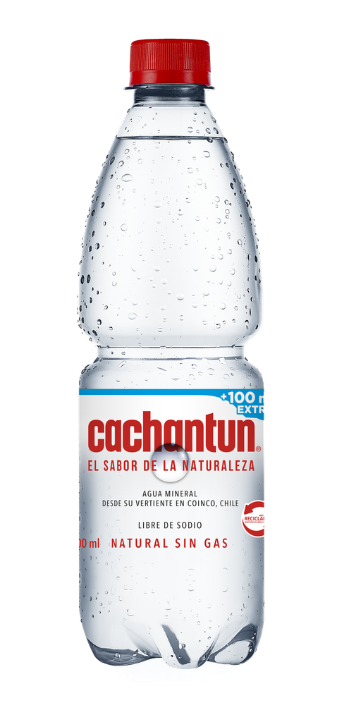 AGUA S/GAS CACHANTUN 600 CC