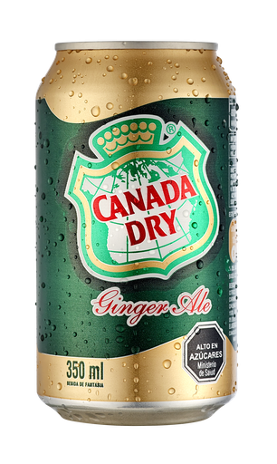 BEBIDA GASEOSA LATA CANADA DRY 350 CC